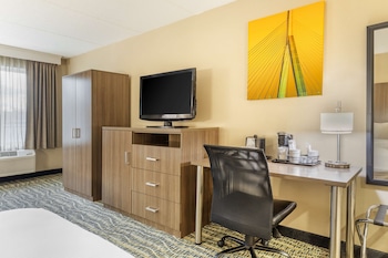 Standard Room, 1 King Bed, Non Smoking, Refrigerator