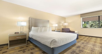 Standard Room, 1 King Bed, Accessible, Non Smoking