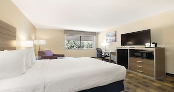 Standard Room, 1 King Bed, Accessible, Non Smoking