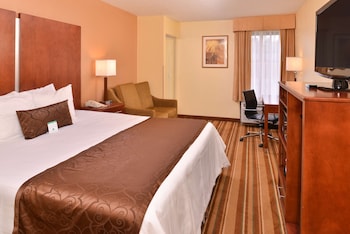 Standard Room, 1 King Bed, Non Smoking, Refrigerator & Microwave