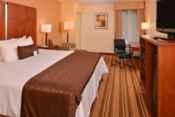 Standard Room, 1 King Bed, Non Smoking, Refrigerator & Microwave