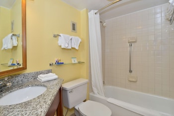 Standard Room, 1 Double Bed, Accessible, Bathtub