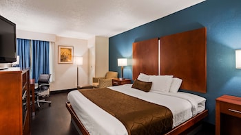 Standard Room, 1 King Bed, Non Smoking, Refrigerator & Microwave (Pet Friendly)
