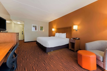 Suite, 1 King Bed, Non Smoking, Refrigerator & Microwave (with Sofabed)