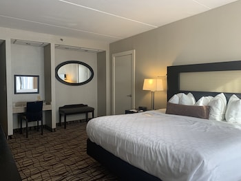 Suite, 1 King Bed, Non Smoking, Refrigerator & Microwave (with Sofabed)
