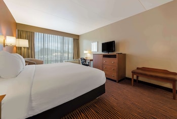 Suite, 1 King Bed, Non Smoking, Refrigerator & Microwave (with Sofabed)