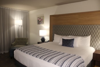 Room, 1 King Bed, Mobility Accessible, Non Smoking (Hearing, Roll-in Shower)