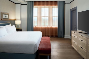 Suite, 1 King Bed with Sofa bed