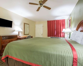 Room, 1 King Bed