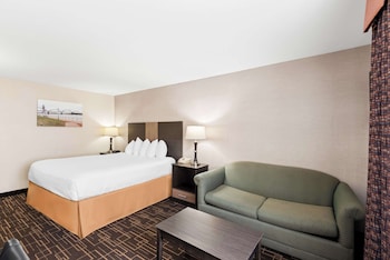 Deluxe Room, 1 King Bed, Non Smoking, Refrigerator & Microwave (with Sofabed)