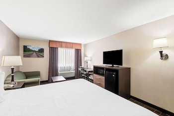 Deluxe Room, 1 King Bed, Non Smoking, Refrigerator & Microwave (with Sofabed)