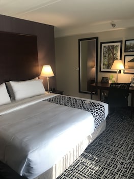 Room, 1 King Bed, Non Smoking