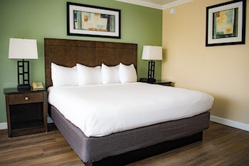Standard Room, 1 King Bed, Refrigerator & Microwave