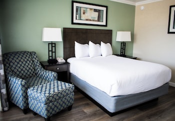 Standard Room, 1 Queen Bed, Accessible, Non Smoking (Mobility, Roll-In Shower)