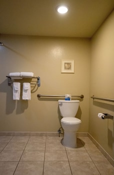 Standard Room, 1 Queen Bed, Accessible, Non Smoking (Mobility, Roll-In Shower)