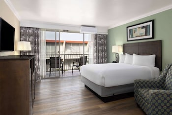 Standard Room, 1 Queen Bed, Accessible, Non Smoking (Mobility, Roll-In Shower)