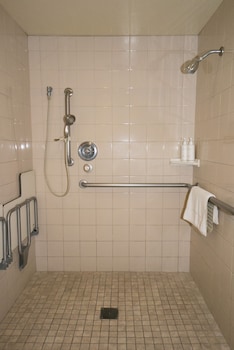 Standard Room, 1 Queen Bed, Accessible, Non Smoking (Mobility, Roll-In Shower)