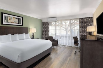 Standard Room, 1 King Bed, Refrigerator & Microwave