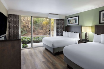 Suite, 1 Bedroom, Non Smoking, Refrigerator & Microwave