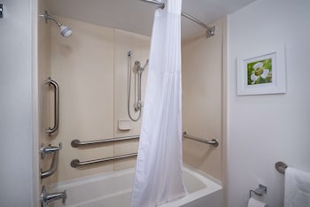 Room, 1 King Bed, Accessible, Non Smoking