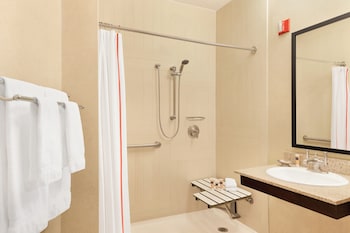 Room, 1 Queen Bed, Accessible (Shower)