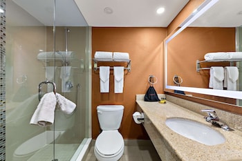 Suite, 1 King Bed, Non Smoking, Jetted Tub (1st Floor;with Sofabed)