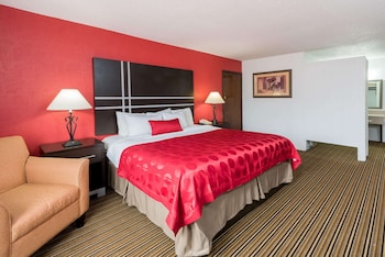 Room, 1 Queen Bed, Non Smoking (Pet Friendly)