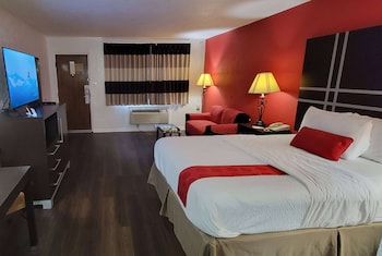 Room, 1 King Bed, Non Smoking (Pet Friendly)
