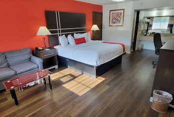 Room, 1 King Bed, Non Smoking (Pet Friendly)