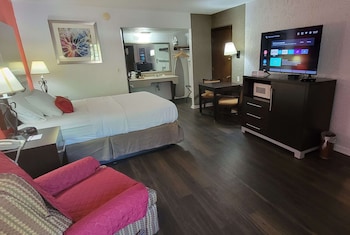 Room, 1 Queen Bed, Accessible, Non Smoking (Pet Friendly, Tub w/ Grab Bars)
