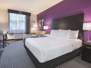 Room, 1 King Bed, Accessible, Non Smoking (Mobility, Roll-In Shower, Mini-Fridge)