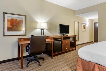 Studio Suite, 1 King Bed with Sofa bed, Non Smoking