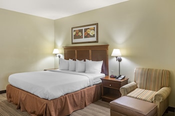 Room, 1 King Bed, Non Smoking