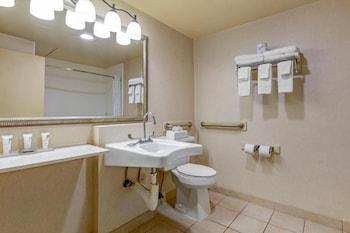 Studio Suite, 1 King Bed, Accessible, Non Smoking