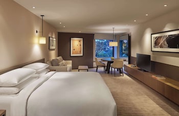 Room, 1 King Bed