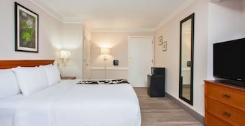 Room, 1 King Bed, Non Smoking