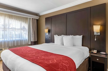 Suite, 1 King Bed with Sofabed, Non Smoking