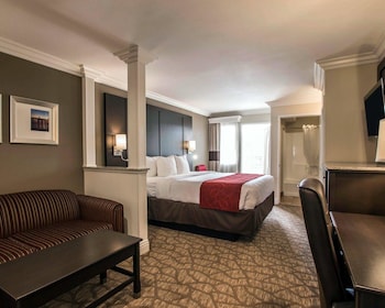 Suite, 1 King Bed with Sofabed, Accessible Roll-In Shower, Non Smoking
