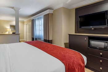 Suite, 1 King Bed with Sofabed, Accessible Roll-In Shower, Non Smoking