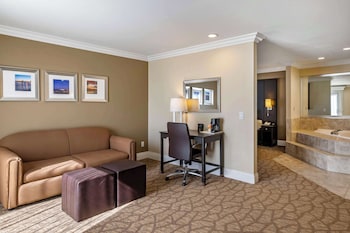 Deluxe Suite, 1 King Bed with Sofabed, Jetted Tub, Non Smoking
