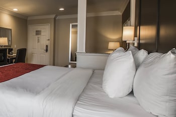 Suite, 1 King Bed with Sofabed, Accessible Roll-In Shower, Non Smoking