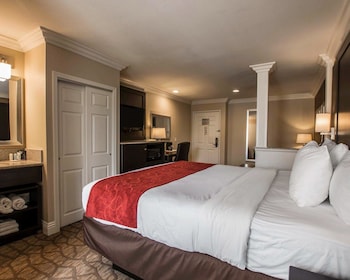 Suite, 1 King Bed with Sofabed, Accessible Roll-In Shower, Non Smoking
