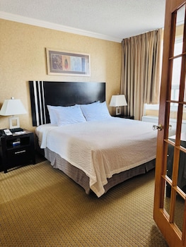 Deluxe Suite, 1 King Bed, Non Smoking