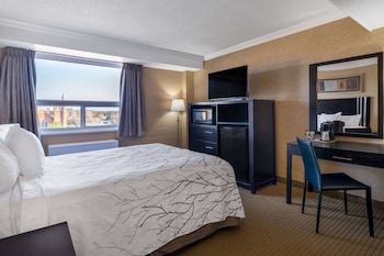 Room, 1 Queen Bed, Non Smoking