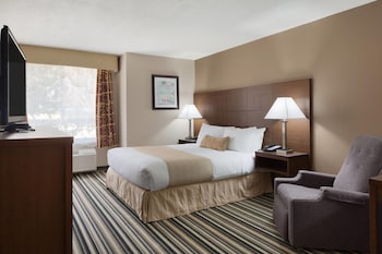 Room, 1 Queen Bed, Accessible, Non Smoking (Bathtub W/grab Bars)