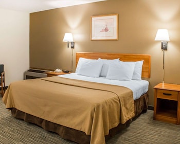 Standard Room, 1 King Bed, Non Smoking