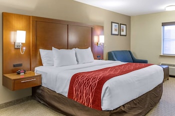 Standard Room, 1 King Bed with Sofa bed, Non Smoking