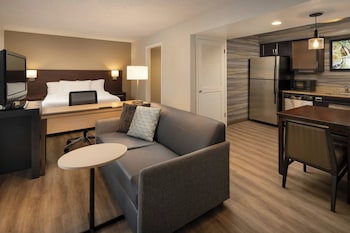 Studio, 1 King Bed with Sofa bed (Mobility/Hearing Accessible, Tub)