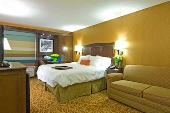 1 King Bed with Sofa bed (Study)