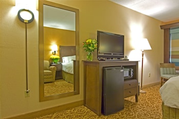 1 King Bed with Sofa bed (Study)